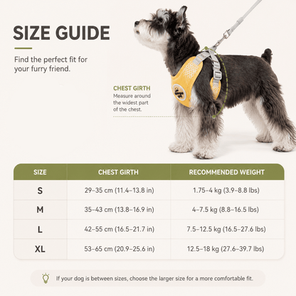 Size guide for the dog harness and leash set showing how to measure chest girth and the recommended weight range for each size.