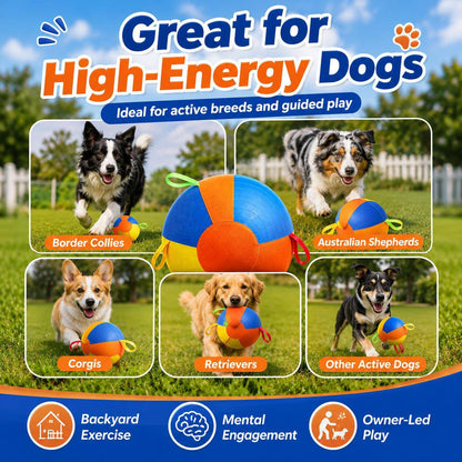Great for high-energy dogs panel showing Border Collies, Australian Shepherds, Corgis, retrievers and other active dogs playing with the herding ball