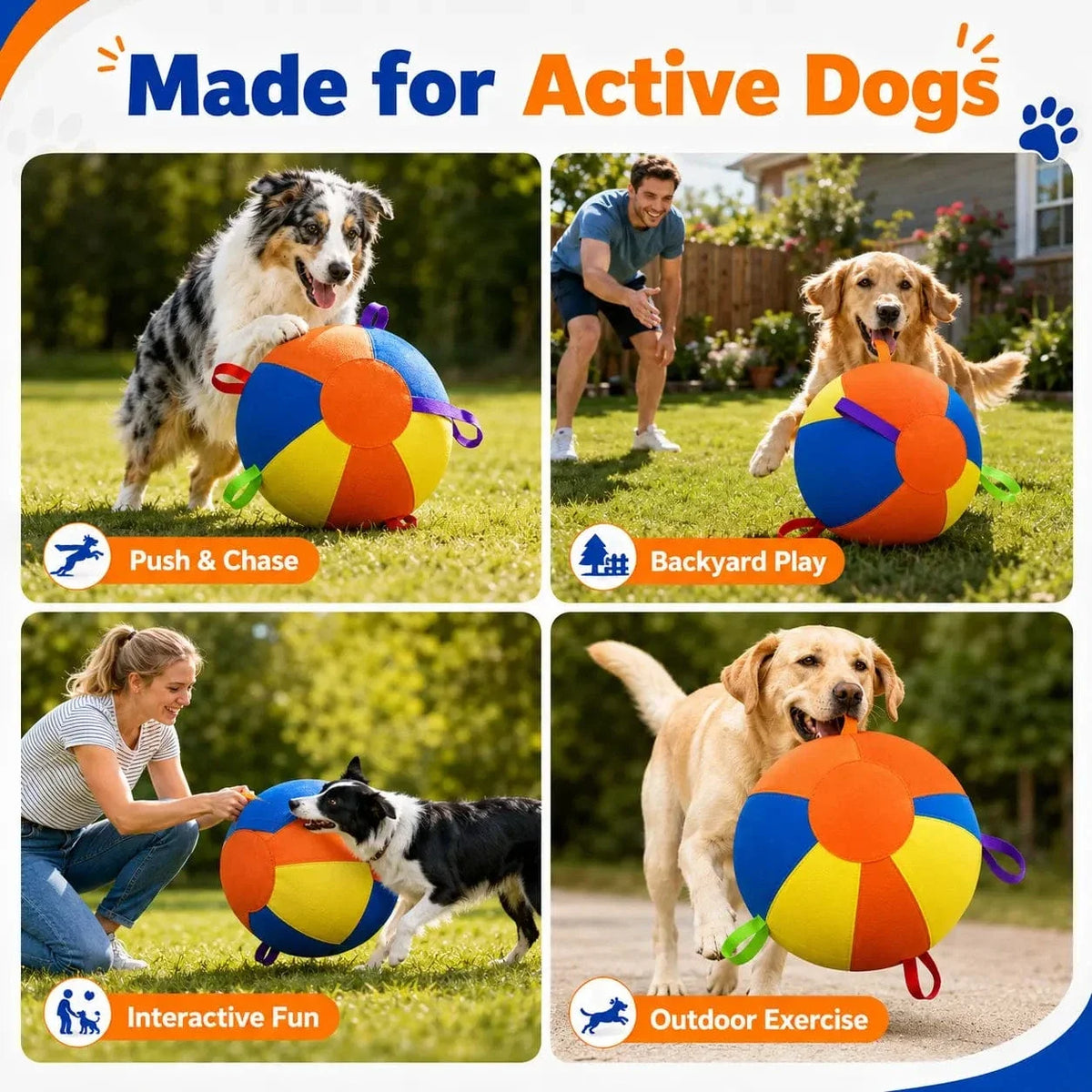 Made for active dogs shown in four scenes: push and chase, backyard play, interactive fun with the owner and outdoor exercise