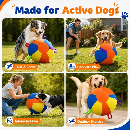 Made for active dogs shown in four scenes: push and chase, backyard play, interactive fun with the owner and outdoor exercise