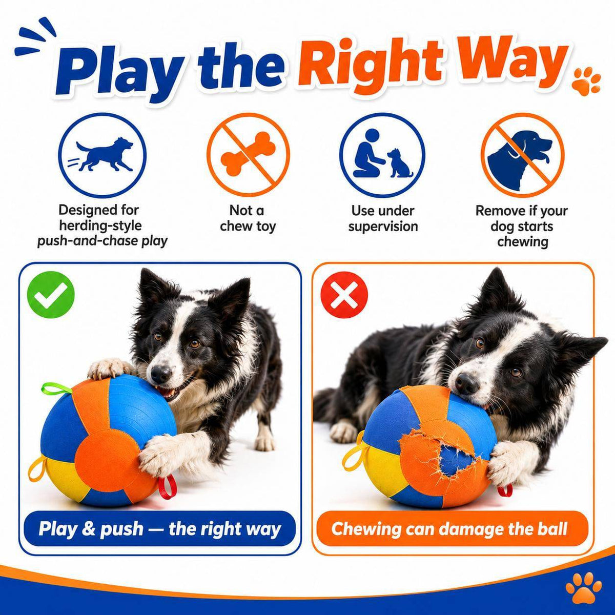 Play the right way panel showing supervised push-and-chase play beside a Border Collie chewing the cover as the behavior to stop