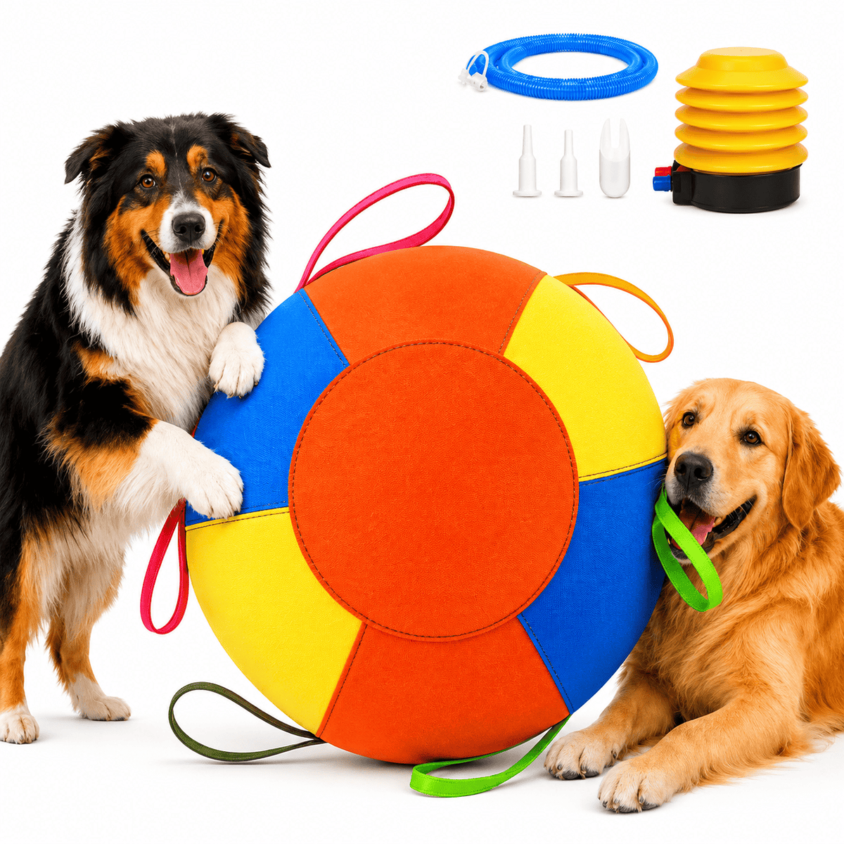 Australian Shepherd and Golden Retriever sitting beside the Noblias dog herding ball, with the foot pump, air tube and nozzles laid out above them