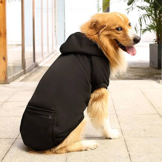 Golden Retriever sitting outdoors in the black fleece dog hoodie, side view showing the zip pocket on the back