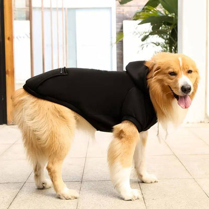 Golden Retriever standing in the black fleece dog hoodie, side view showing the full body length and leg openings