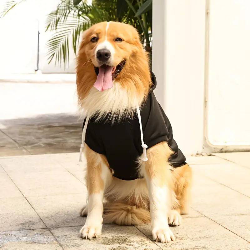 Golden Retriever sitting in the black fleece dog hoodie with the drawstring hood down around the neck