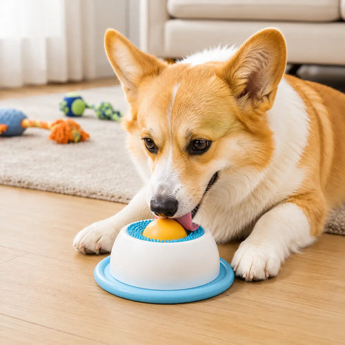 Corgi licking the yellow ball in the center of the blue dog lick bowl for small dogs on a wood floor.