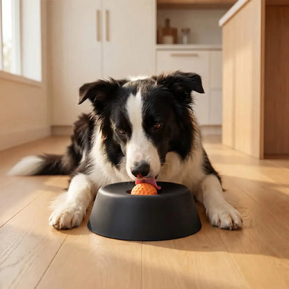Border collie licking the orange rolling ball in the black dog lick bowl on a kitchen floor.