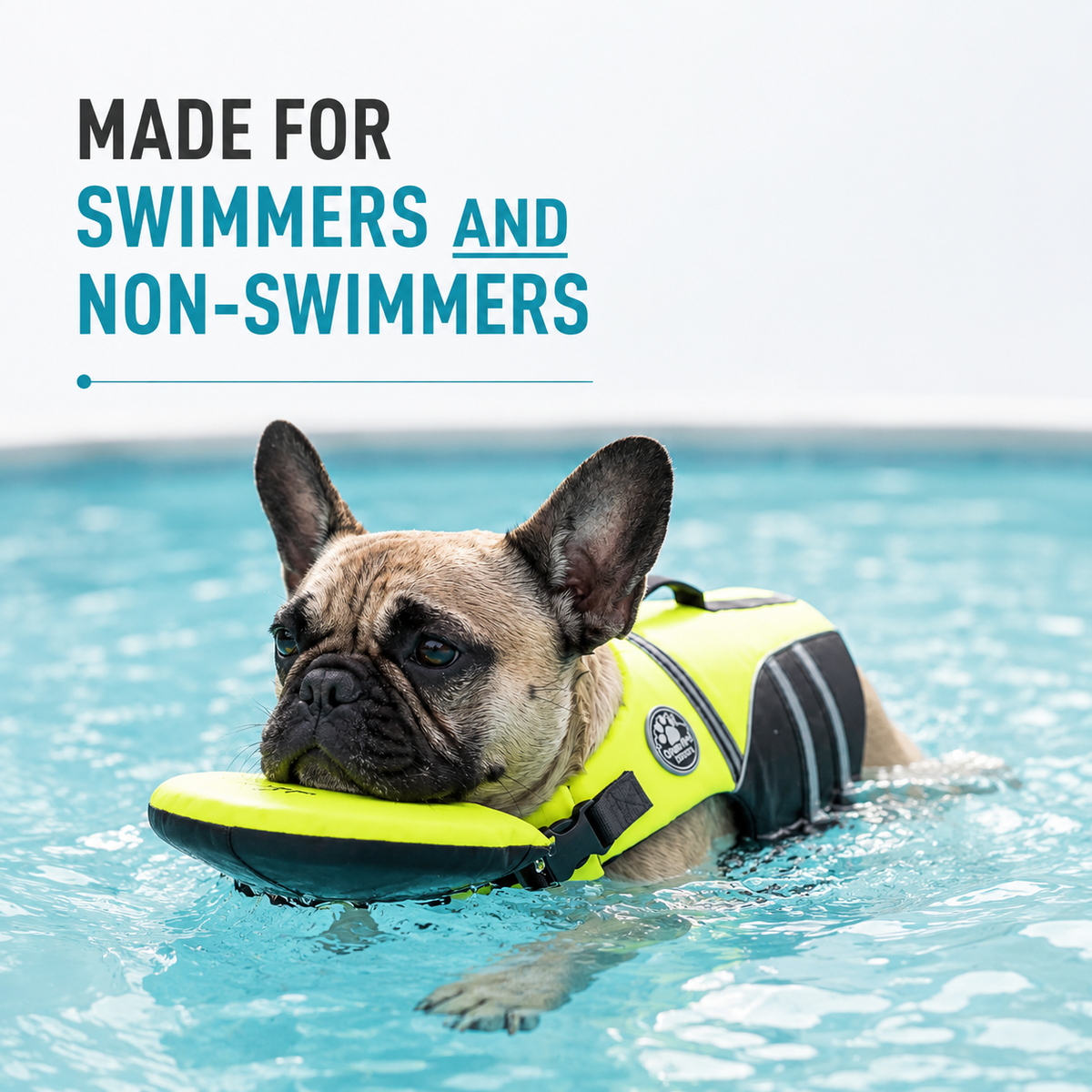 Made for swimmers and non-swimmers panel showing a French Bulldog floating upright in a pool in the yellow life jacket