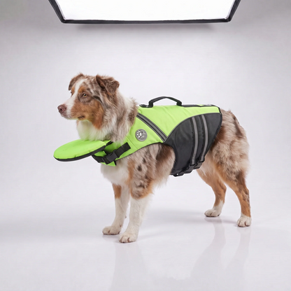 Neon green dog life jacket shown on an Australian Shepherd against a plain studio background