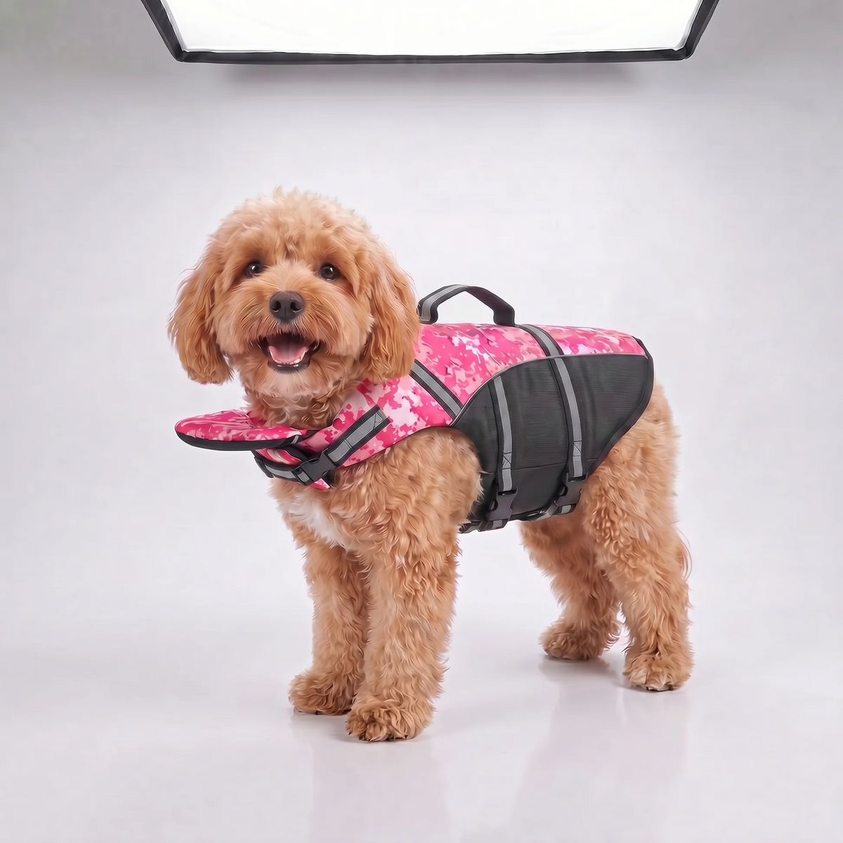 Pink dog life jacket shown on an apricot poodle against a plain studio background