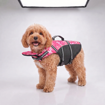 Pink dog life jacket shown on an apricot poodle against a plain studio background