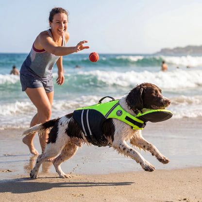 Spaniel racing along the beach after a ball while wearing the neon green dog life jacket with chin support