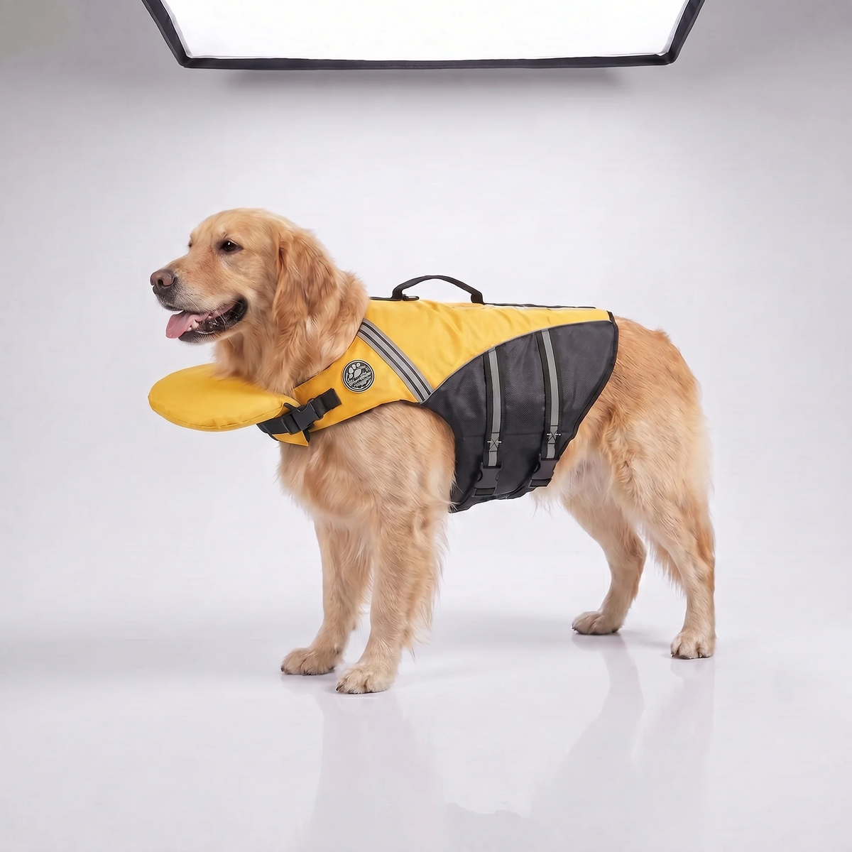 Yellow dog life jacket shown on a Golden Retriever against a plain studio background