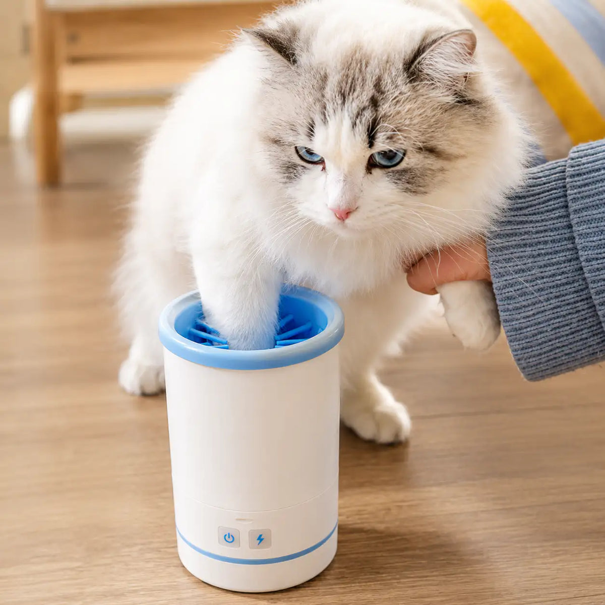 Fluffy cat having a paw cleaned in the Noblias automatic paw cleaner cup.
