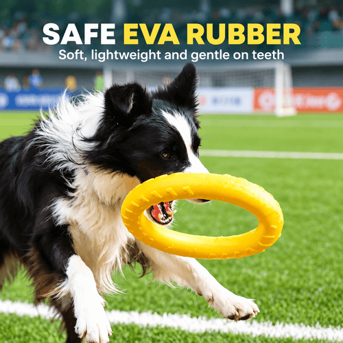 Border collie running across a sports field carrying the yellow lightweight dog ring toy.