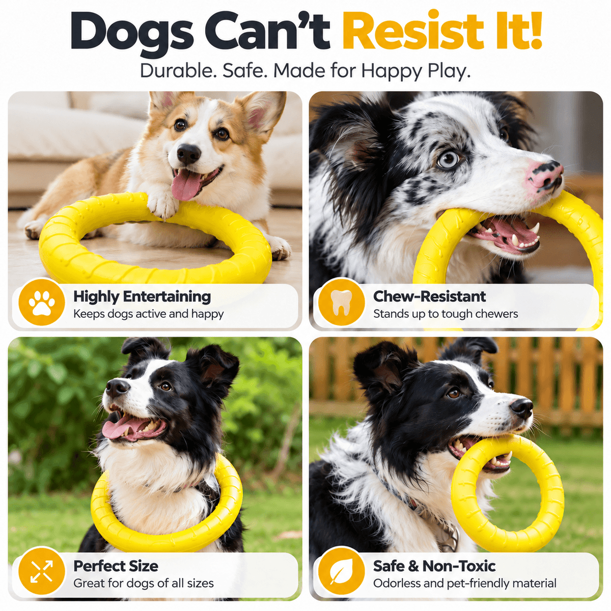Four dogs of different breeds playing with and holding the yellow dog ring toy.