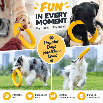 Collage of dogs playing tug and fetch with the yellow dog ring toy indoors and outdoors.
