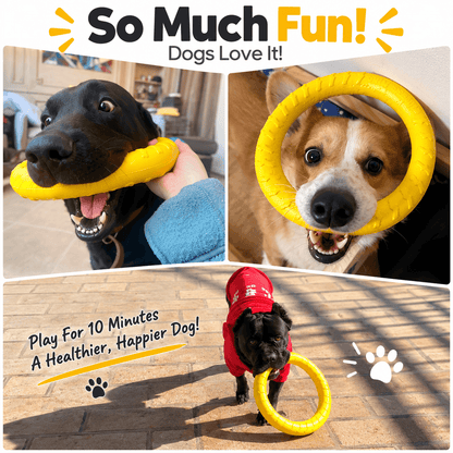 Three photos of dogs tugging, holding and carrying the yellow dog ring toy.