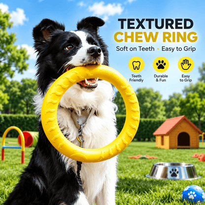 Border collie holding the textured yellow dog ring toy in its mouth in a sunny backyard.