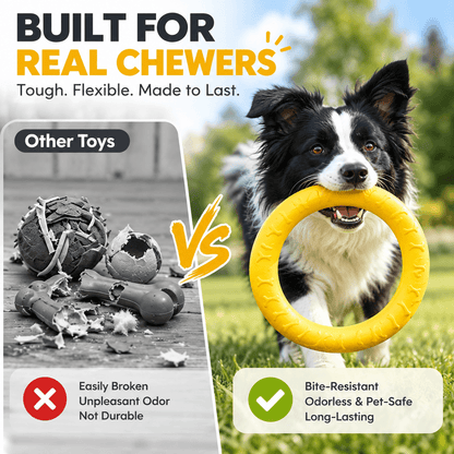 Comparison of torn-up toys beside a border collie holding the intact yellow dog ring toy.