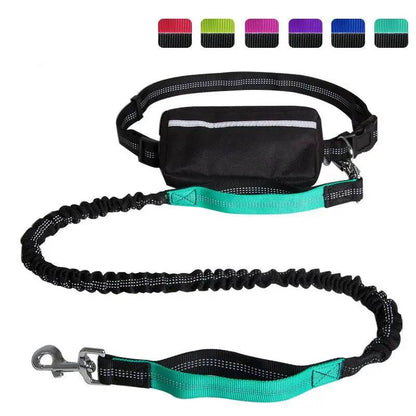 Bamboo green dog running belt with the black zipper pouch, reflective waist belt and turquoise padded traffic handle on the bungee leash