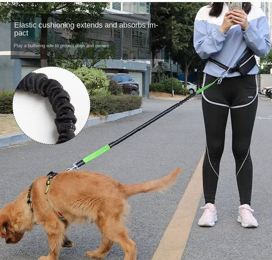 Runner on a sidewalk with a golden retriever ahead on the bungee leash, with a close-up showing the elastic cushioning extending to absorb the impact of a pull
