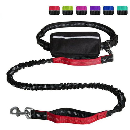 Cinnabar red dog running belt with the black zipper pouch, reflective waist belt and red padded traffic handle on the bungee leash