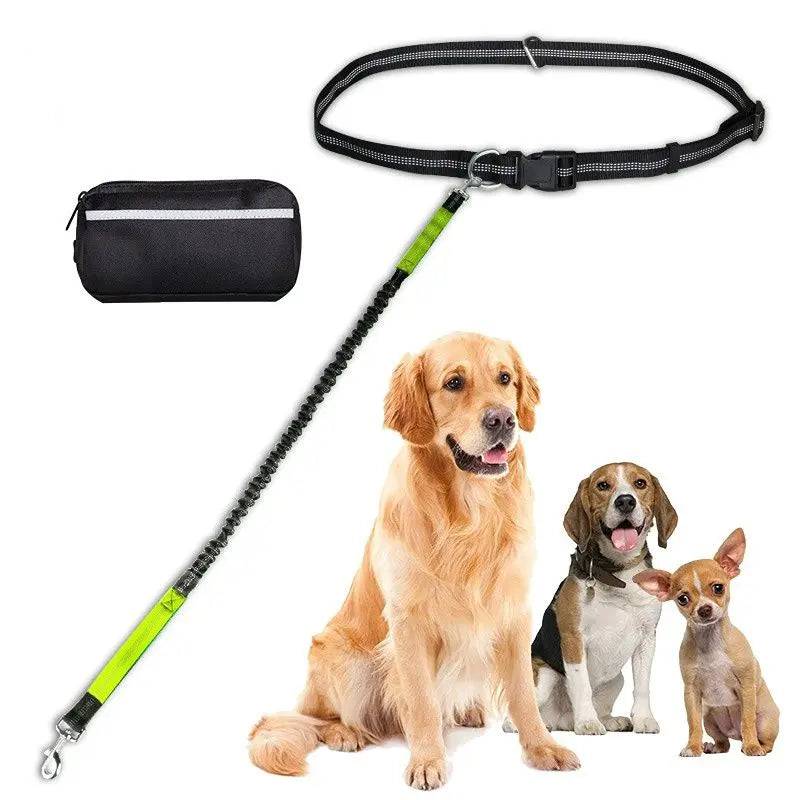 Full dog running belt set laid out with the removable zipper pouch, adjustable waist belt and green bungee leash, shown beside a golden retriever, a beagle and a chihuahua for scale