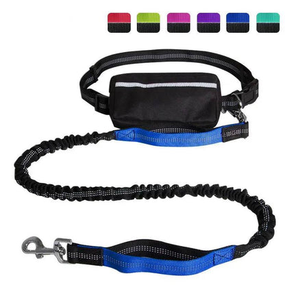 Peacock blue dog running belt with the black zipper pouch, reflective waist belt and blue padded traffic handle on the bungee leash