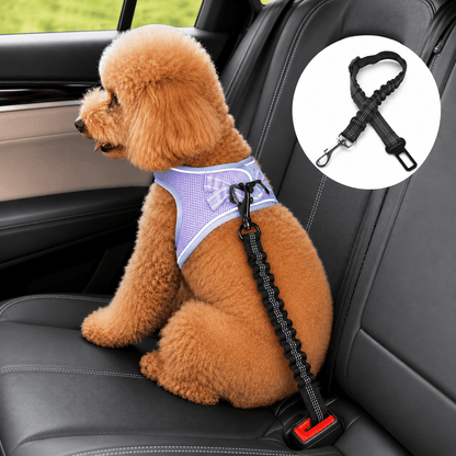 Apricot poodle sitting in a car seat with its harness clipped to the Noblias bungee dog seat belt, with the belt shown inset