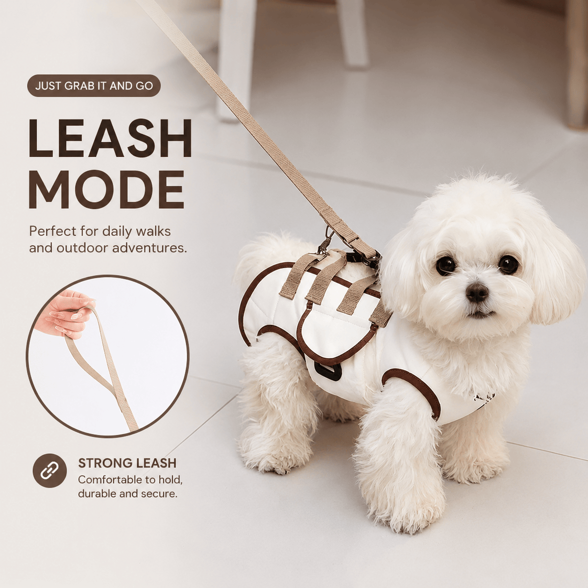 Bichon standing in the harness with the leash attached for a walk, labeled leash mode with a strong comfortable leash
