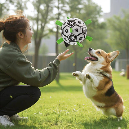 Corgi jumping for the dog soccer ball as its owner kneels on the grass holding it out by a tab