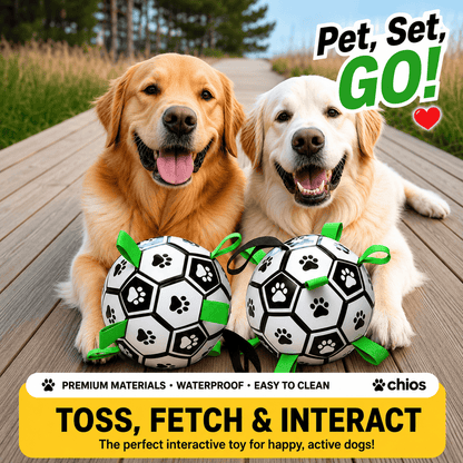 Two Golden Retrievers sitting with the soccer ball on a boardwalk under a toss, fetch and interact banner
