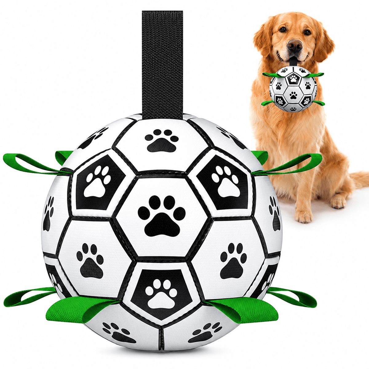 Close-up of the dog soccer ball with its top carry strap raised, with a Golden Retriever holding one behind it