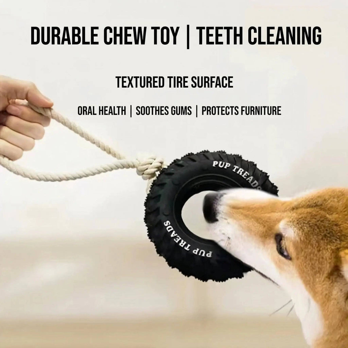 Durable chew toy panel showing the textured tire tread as a Shiba Inu bites down on the tire