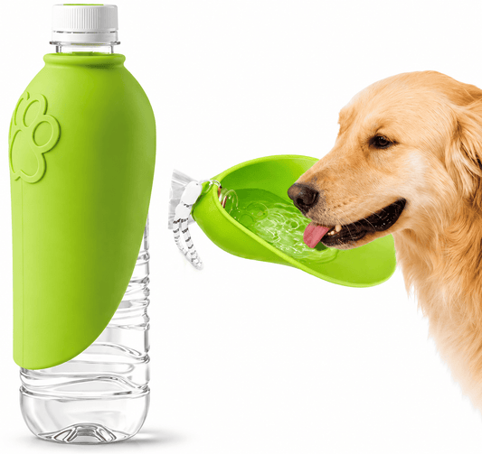 The green Noblias silicone water bottle attachment wrapped on a bottle with the bowl folded out for a golden retriever to drink from.