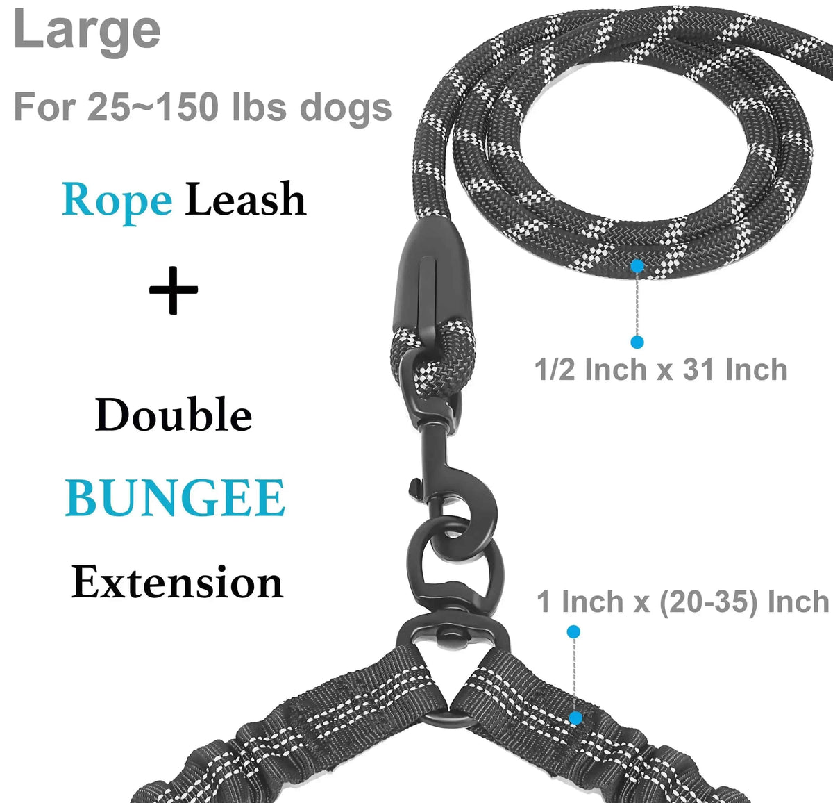 Panel showing the half inch by 31 inch reflective rope lead and the one inch bungee branches that extend from 20 to 35 inches