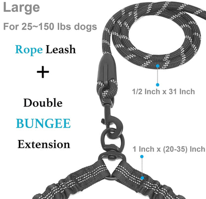 Panel showing the half inch by 31 inch reflective rope lead and the one inch bungee branches that extend from 20 to 35 inches