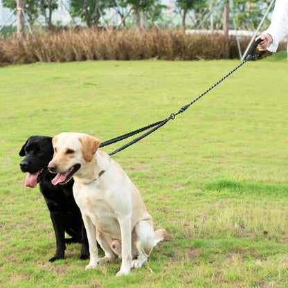 A black Labrador and a yellow Labrador sitting side by side on the black double bungee dog leash