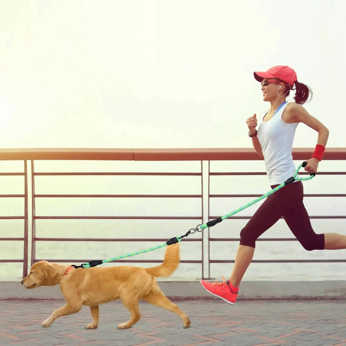 Woman jogging along a path with a Golden Retriever on the green double dog leash