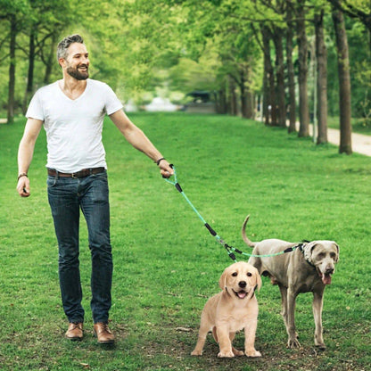 Man walking two Golden Retrievers on the rose red double dog leash across a lawn