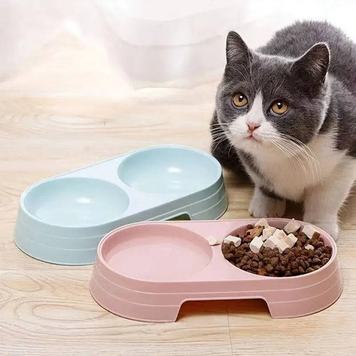 Gray and white cat beside two Noblias double pet bowl sets, one blue and one pink filled with kibble