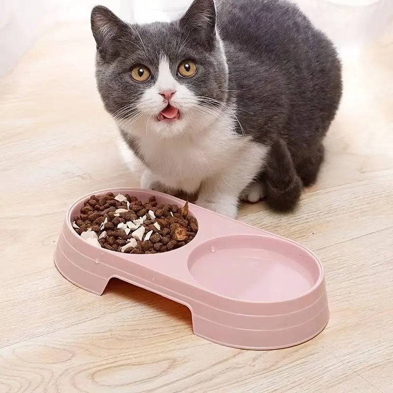 Cat eating dry food from the pink double pet bowl set on a wooden floor