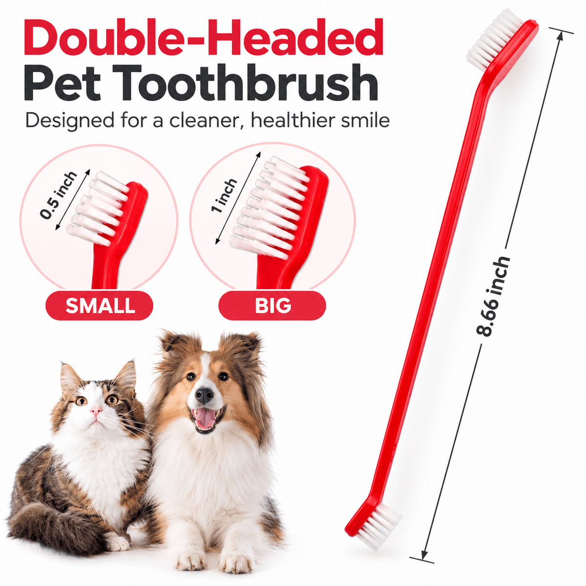 Comparison of the half inch small brush head and the one inch large head beside the full length of a red toothbrush.