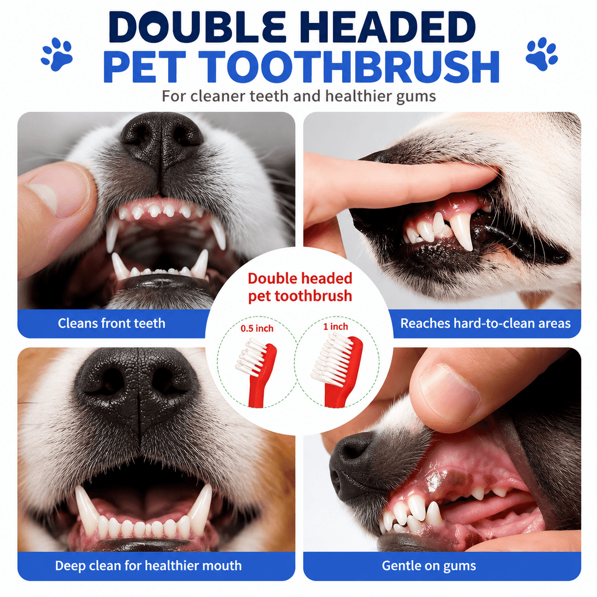 Four photos of a dog's teeth being brushed at the front, at the back, along the gum line and on the lower jaw.