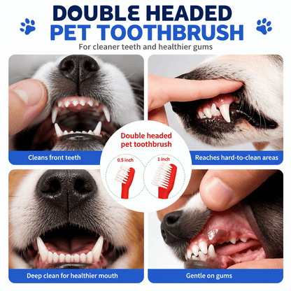 Four photos of a dog's teeth being brushed at the front, at the back, along the gum line and on the lower jaw.