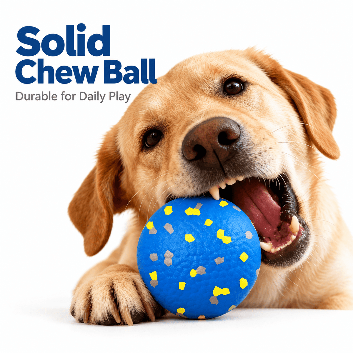 A golden retriever chewing the blue speckled durable dog chew ball.