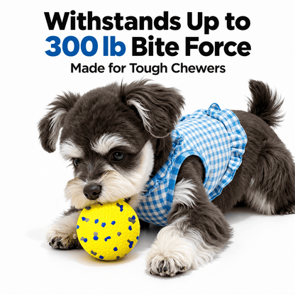 A schnauzer puppy in a gingham vest biting the yellow durable dog chew ball.