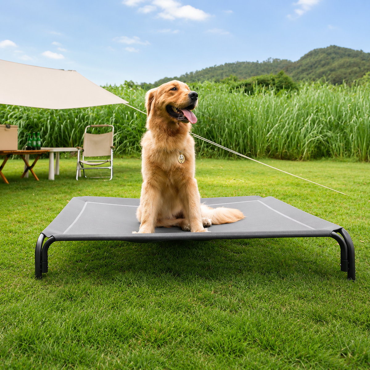Golden Retriever lying on the gray Noblias elevated dog bed on a lawn beside a patio