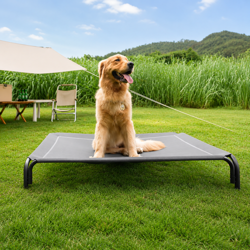 Golden Retriever lying on the gray Noblias elevated dog bed on a lawn beside a patio